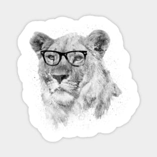 Wild Hipster Sticker